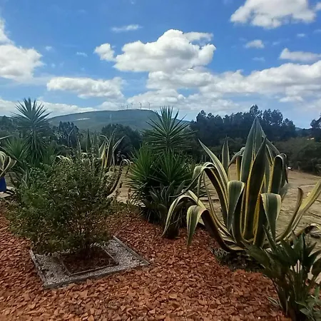De Oliveiras *