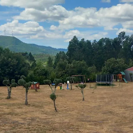 De Oliveiras