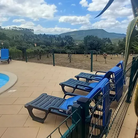 De Oliveiras * Penela