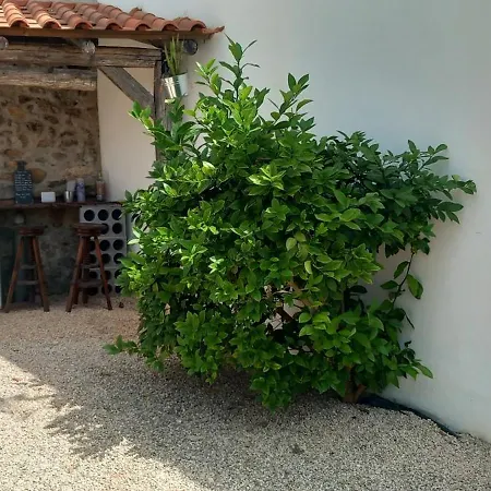 Kır Evi De Oliveiras *